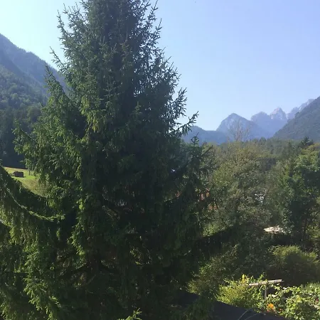 Apartma Lesnik Pansiyon *