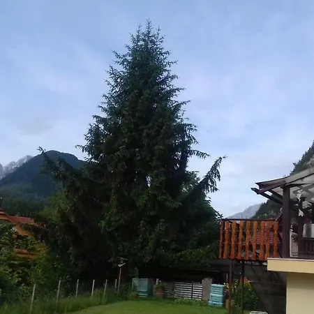 Apartma Lesnik