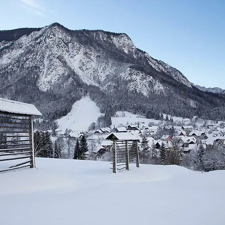 Apartma Lesnik *